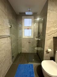 Jervois Treasures (D10), Apartment #588855741